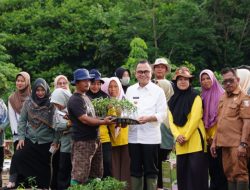 Kendalikan Inflasi, Pemkab Banyuasin Gencarkan Tanam Cabai