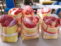 Berkurban 2 Ekor Sapi, Dinkominfo Muba Bagikan Daging Kurban Gunakan Gedebong Pelepah Pisang