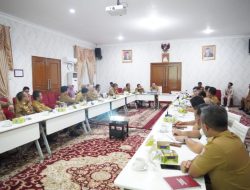 Hani S Rustam Minta Perayaan HUT Kabupaten Banyuasin Ke-22 Memberi Kesan Bagi Masyarakat