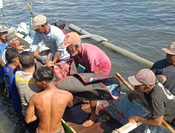 Polsek Buer dan Sat Poalirud Bantu Evakuasi Warga Labuhan Burung Meninggal Saat Melaut
