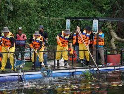 Hari Lingkungan Hidup Sedunia, PLN Gelar Aksi Bersih dan Olah Sampah di 54 Lokasi Se-Indonesia