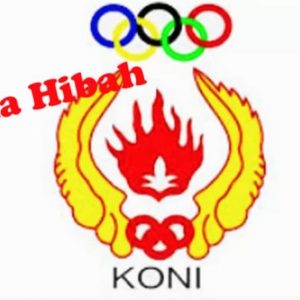 Dinilai Tak Lengkap, Salim S.iP Soroti SPJ Belanja Dana Hibah KONI OKI