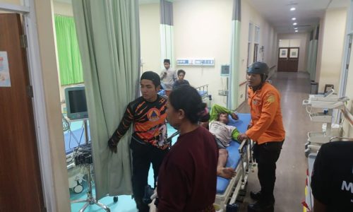 Coba Bunuh Diri Naik Pohon Kelapa, AS Berhasil Dievakuasi Tim SAR