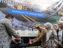 Lepas Ekspor Kemiri ke Jeddah, Miq Gita: Pemprov NTB Apresiasi PT Mujnah UMKM Binaan BI