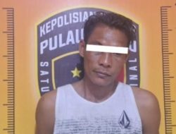 Maling Buah Sawit di TSM Parit 1 RT 14 Primer III Desa Mekar Sari, SA Diringkus Polsek Pulau Rimau
