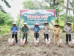 Dukung Swasembada Pangan, Pemda KLU Bersama Polres Lombok Utara Tanam Jagung