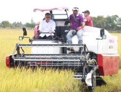 Bersama Menko Bidang Pangan RI, Pj Bupati Banyuasin Panen Raya di Tanjung Lago