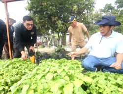 Ketua PWI Pusat Apresiasi Program Wartawan Menanam Dukung Ketahanan Pangan