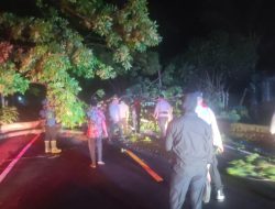 Polsek Gangga Bersama Damkar Evakuasi Pohon Tumbang