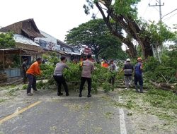 Aksi Nyata Kapolres Lombok Utara, Berbaur bersama warga bersihkan Ranting Pohon tutupi Badan Jalan