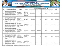 Ringkasan APBD Yang Diklasifikasikan Menurut Jenis Pendapatan, Belanja dan Pembiayaan TA 2025 NTB (35}