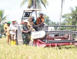 Panen Raya Serentak, 3 Besar Penghasil Gabah Nasional Banyuasin Optimis Optimalkan Swasembada Pangan