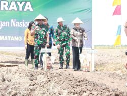 Konsisten Dukung Indonesia Swasembada Pangan, Wabup Banyuasin Bersama Danrem O44/Gapo Tanam Padi Gogo