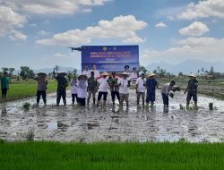 Virtual Tanam Padi Serentak di 14 Provinsi, di NTB Dipusatkan di Poktan Pohdane Utara Lombok Barat