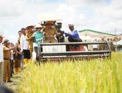 Wakili Sumsel, Petani OKI Panen Raya Serentak Bersama Presiden Secara Virtual