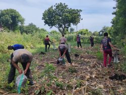 Dukung Ketahanan Pangan, SPN Polda NTB Olah Lahan untuk Penanaman Pepaya di Belanting