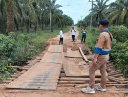 Pemkab Muba Segera Perbaiki Jembatan Desa Warga Mulya (B4)