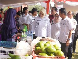 Jelang Lebaran Idul Adha, Masyarakat Antusias Serbu Gerakan Pasar Murah yang Digelar Pemkab Banyuasin
