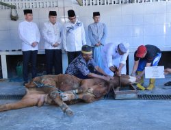 Kapolda NTB Irjen Pol. Hadi Gunawan Serahkan Hewan Qurban dan Saksikan Penyembelihan di Masjid Baitussalam Polda NTB