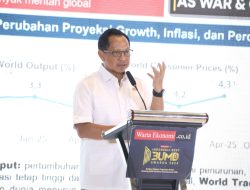 Perkuat Kapasitas Pendapatan Asli Daerah, Mendagri Beberkan Peran Penting BUMD