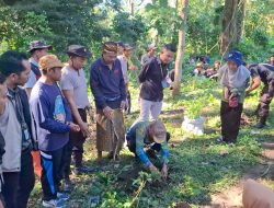 Sinergi, Kapolsek Bersama Muspika dan Tokoh Adat Bayan Tanam Pohon di Hutan Adat Pengempokan