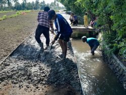 Tingkatkan Akses Infrastruktur Petani, Pemdes Kayangan Bangun Rabat Beton JUT