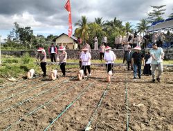 Dukung Swasembada Pangan 2025, Polres dan Forkopimda Lombok Utara Tanam Jagung Kuartal III dan Pohon Keras di Selelos