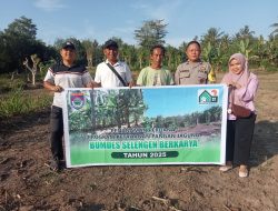 Realisasikan Program Pejagung, Pemdes Selengen Tanam Jagung di Lahan Seluas 170 Are