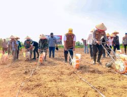 Swasembada Pangan Tahun 2025, Sekda Banyuasin Hadiri Tanam Jagung Bersama Polres Banyuasin