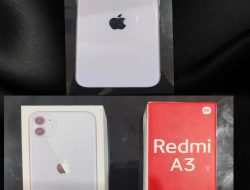 Polsek Sungsang Ungkap Kasus Pencurian dengan Pemberatan, Pelaku Bobol Warung lewat Ventilasi