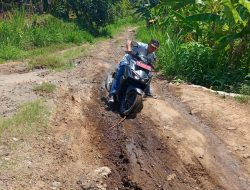 Terancam Stagnasi Ekonomi Akibat Jalan Rusak Parah,  Kades Pansor Minta Perhatian Serius dari Pemerintah