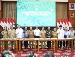 Mendagri Tekankan Pentingnya Hilirisasi Pertanian Jadi Strategi Keluar dari Middle Income Trap