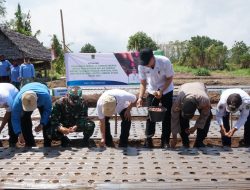 Tekan Inflasi,Pemda KLU Tanam Bawang Merah Serentak
