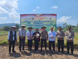 Dukung Swasembada Pangan, DKPPP KLU Bersama Polres Lombok Utara Tanam Jagung Serentak 