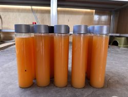 Inovasi Bhayangkari Lombok Utara, Ubah Limbah Rumah Tangga Jadi Pupuk Organik Bernilai Tinggi