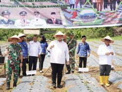 Sinergitas Bersama, Dandim dan Pemkab Banyuasin Tanam 30 Ribu Bibit Cabai
