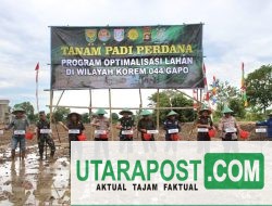 Terus Optimalkan Ketahanan Pangan, Staf Ahli Bupati Banyuasin Dan Dandim O430/BA Tanam Padi Perdana
