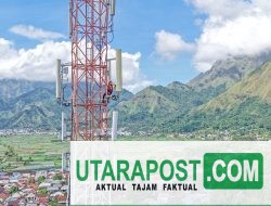 Kinerja Stabil, Pendapatan Indosat di Kuartal Ketiga Tahun 2025 Capai Rp14,052 Triliun