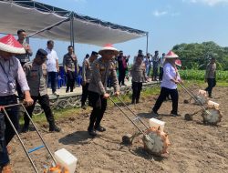 Dukung Ketahanan Pangan, Kapolres Lombok Utara Pimpin Penanaman Jagung Serentak Kuartal IV di Desa Santong