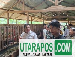 Bupati Banyuasin Tinjau Duren Ijo Peternakan dan Penggemukan Kambing