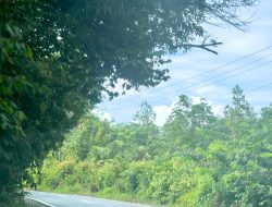 Warga Nilai Positif Kinerja Muchendi–Supri, Infrastruktur dan Layanan Publik Membaik