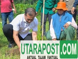 Gerakan Tanam 500 Pohon di Meninting, Gubernur NTB Ingatkan Dampak Ekonomi Kerusakan Hutan