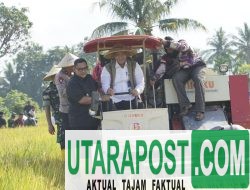 Panen Raya dan Launching Serapan Gabah NTB di KLU, Wabup Kus Dampingi Kunker Dirut Perum Bulog