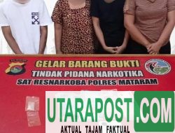 3 Perempuan dan 1 Pria Terduga Jaringan Pengedar Narkoba Diringkus di Bertais, Dua Diantaranya Residivis