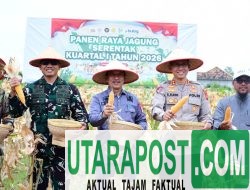 Pemkab Banyuasin dan Polres Banyuasin Panen Raya Jagung Serentak Kuartal I