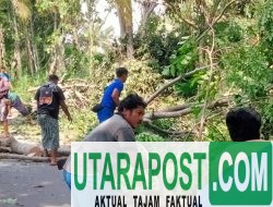 Personel Ditpolairud Polda NTB Bantu Warga Singkirkan Pohon Tumbang di Lombok Barat
