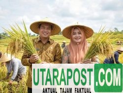 Produksi Padi 2025 Naik 16,85 Persen, NTB Optimis Perkuat Swasembada Pangan 2026