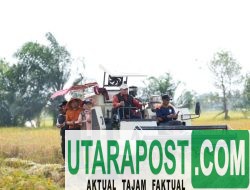 Panen Raya di Songo Makmur, Bupati Banyuasin Ajak Warga Manfaatkan Lahan Sekitar Persawahan