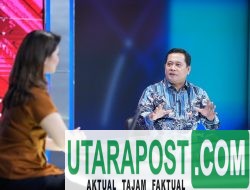 Ubah Rawa Jadi Sawah, Banyuasin Jadi Produsen Beras Terbesar RI