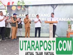 Kunker di Sembalun, Mentan: NTB Didorong Jadi Pusat Komoditas Bawang Putih dan Jagung Nasional